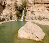 Ein Gedi Waterfall